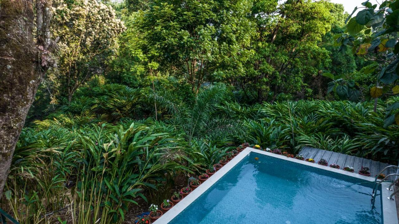 Spice Jungle Holiday Resort Munnar Exterior foto