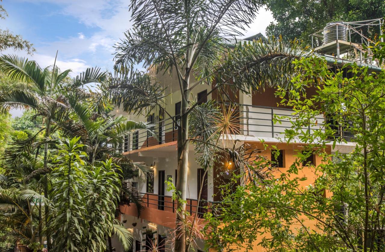 Spice Jungle Holiday Resort Munnar Exterior foto